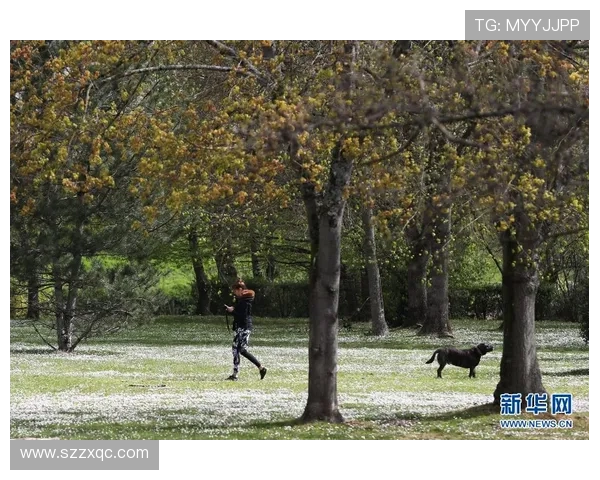 摩纳哥王国的欧洲传奇之城风采